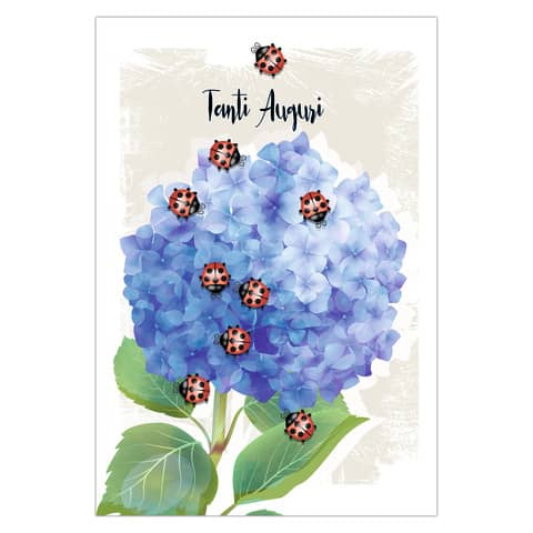 biembi-biglietti-augurali-compleanno-12x18-cm-conf-6-pezzi-assortiti-coccinelle-bxbdktc06