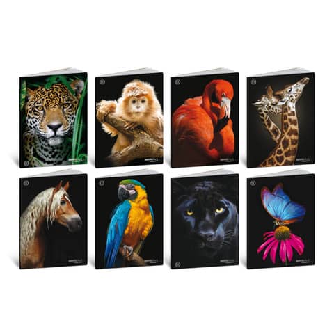 blasetti-maxi-quaderni-animali-formato-a4-carta-100-g-conf-10-pezzi-rigatura-4-mm-8628