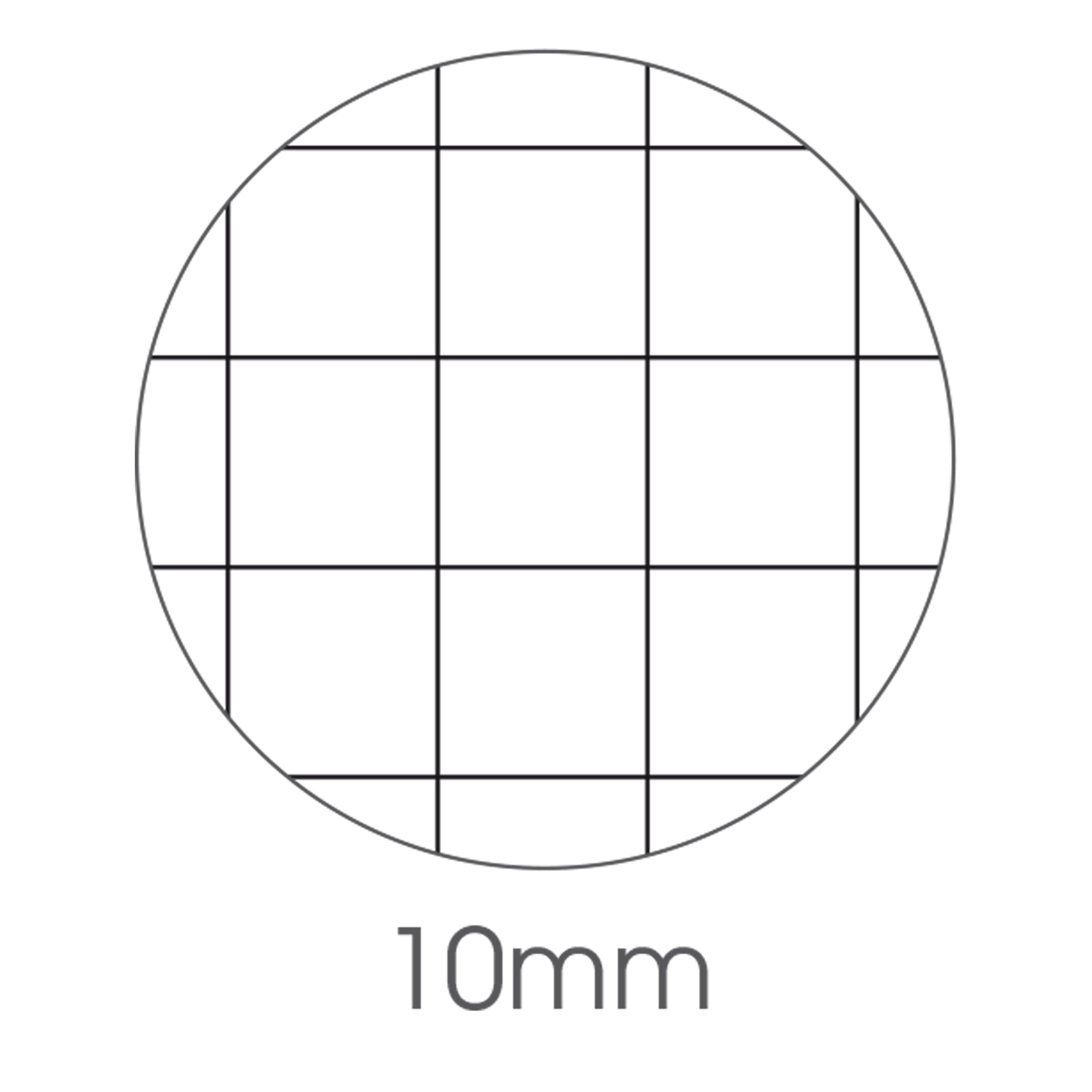 bm-maxiquaderno-a4-36fg2-100gr-10mm-be-more-tiny-2024