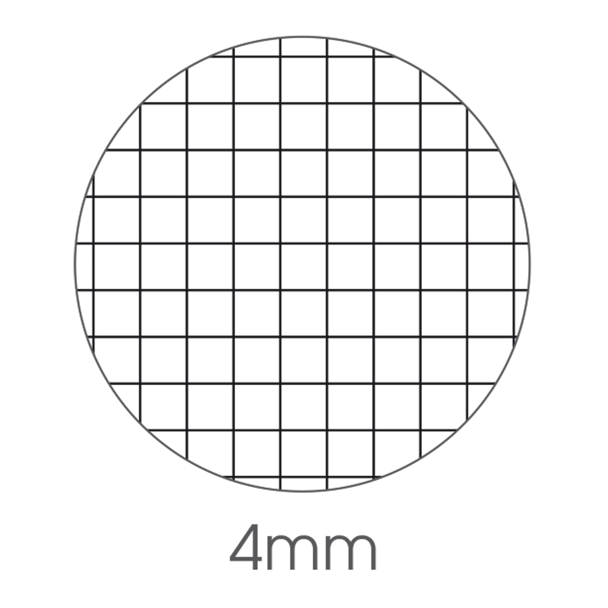 bm-maxiquaderno-a4-36fg2-100gr-4mm-be-more-tiny-2024