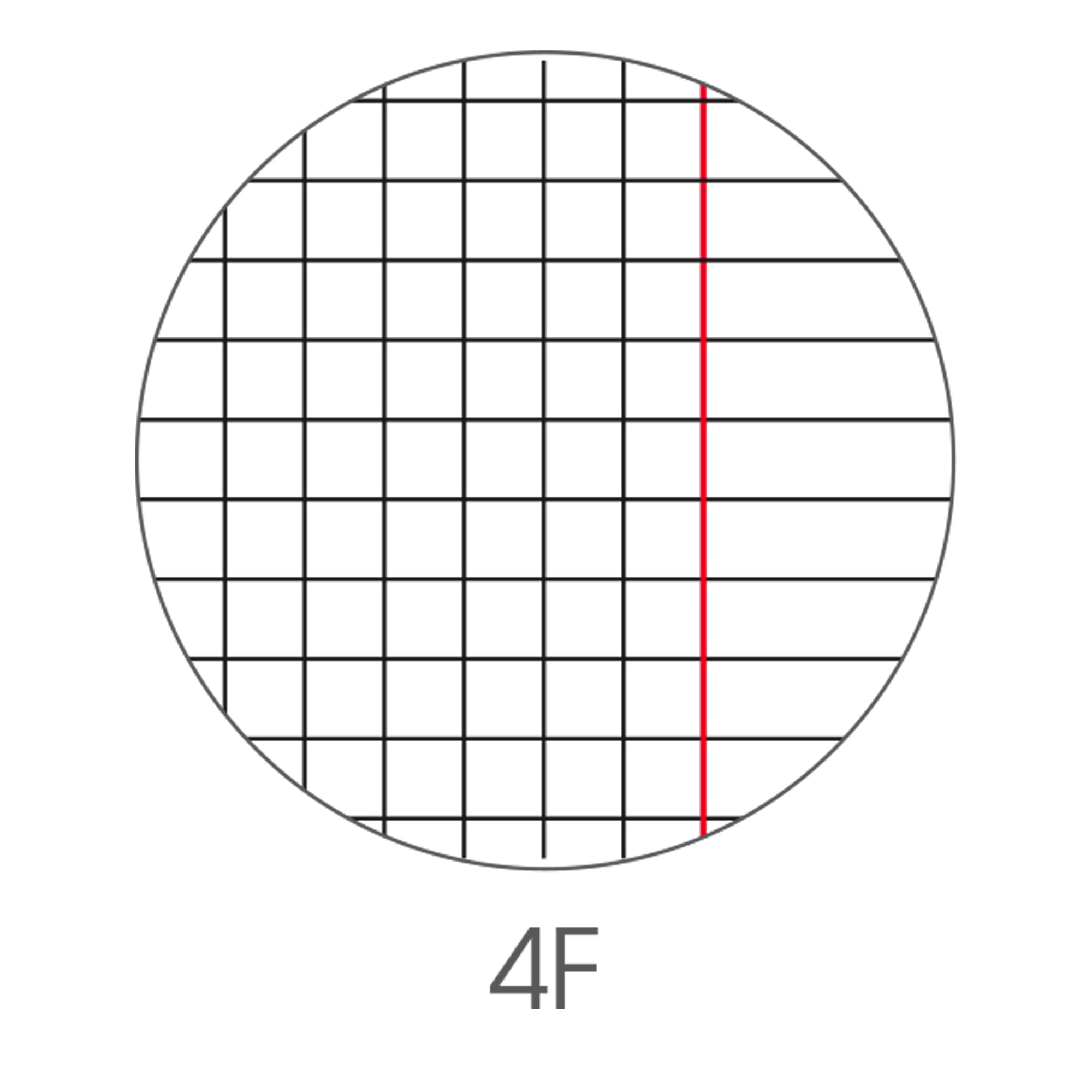 bm-maxiquaderno-a4-36fg2-100gr-4mm-c-margine-be-more-urban-2024