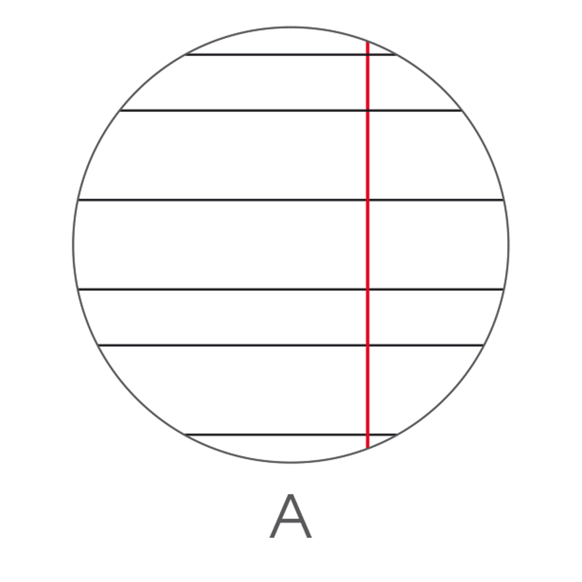 bm-maxiquaderno-a4-36fg2-100gr-rigo-1a-be-more-tiny-2024