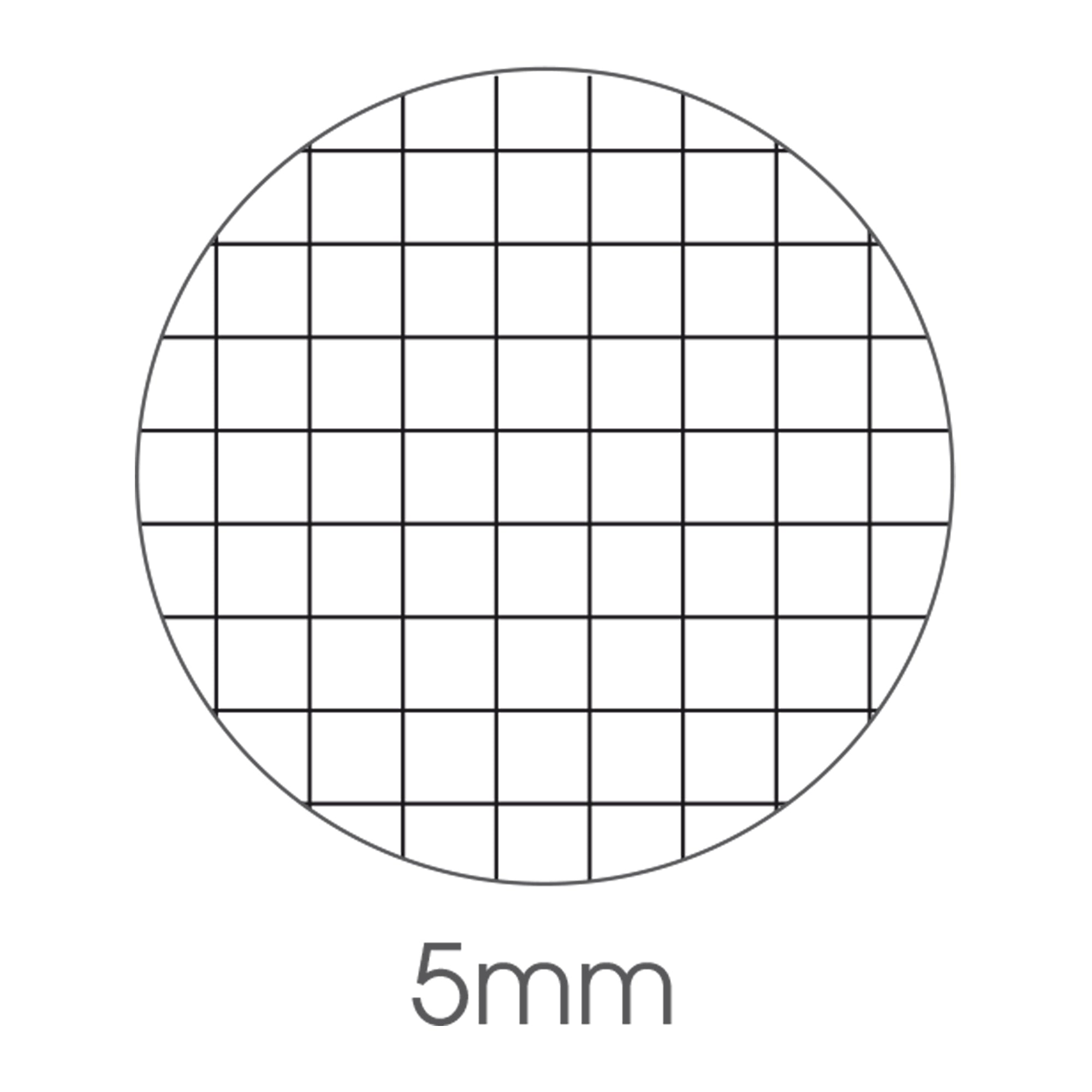 bm-maxiquaderno-a4-40fg2-80gr-5mm-bambino-2024