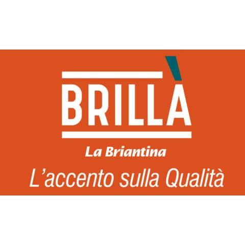 brilla-catturapolvere-manico-allungabile-speedy-plus-1-manico-2-piumini-att02714a