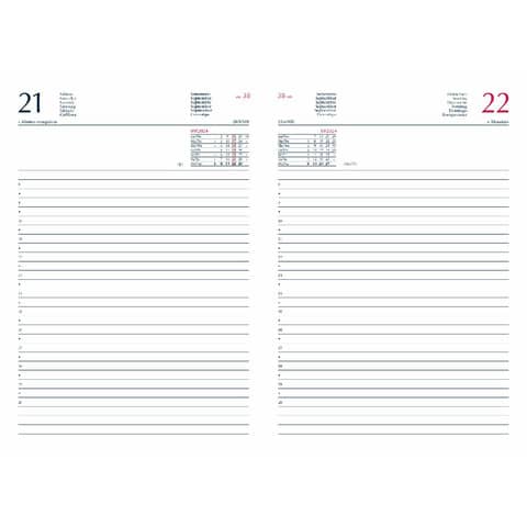 cartucciaperfetta-agenda-2025-giornaliera-s-d-separati-14-5x20-5-cm-gommato-blu-25-628b00401c