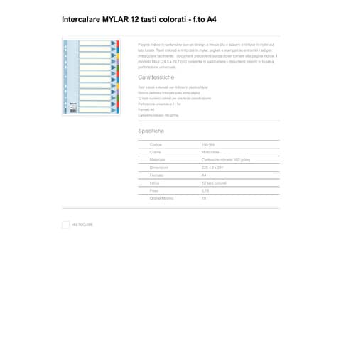 esselte-intercalari-cartoncino-rivestiti-ppl-essentials-a4-12-tasti-100169