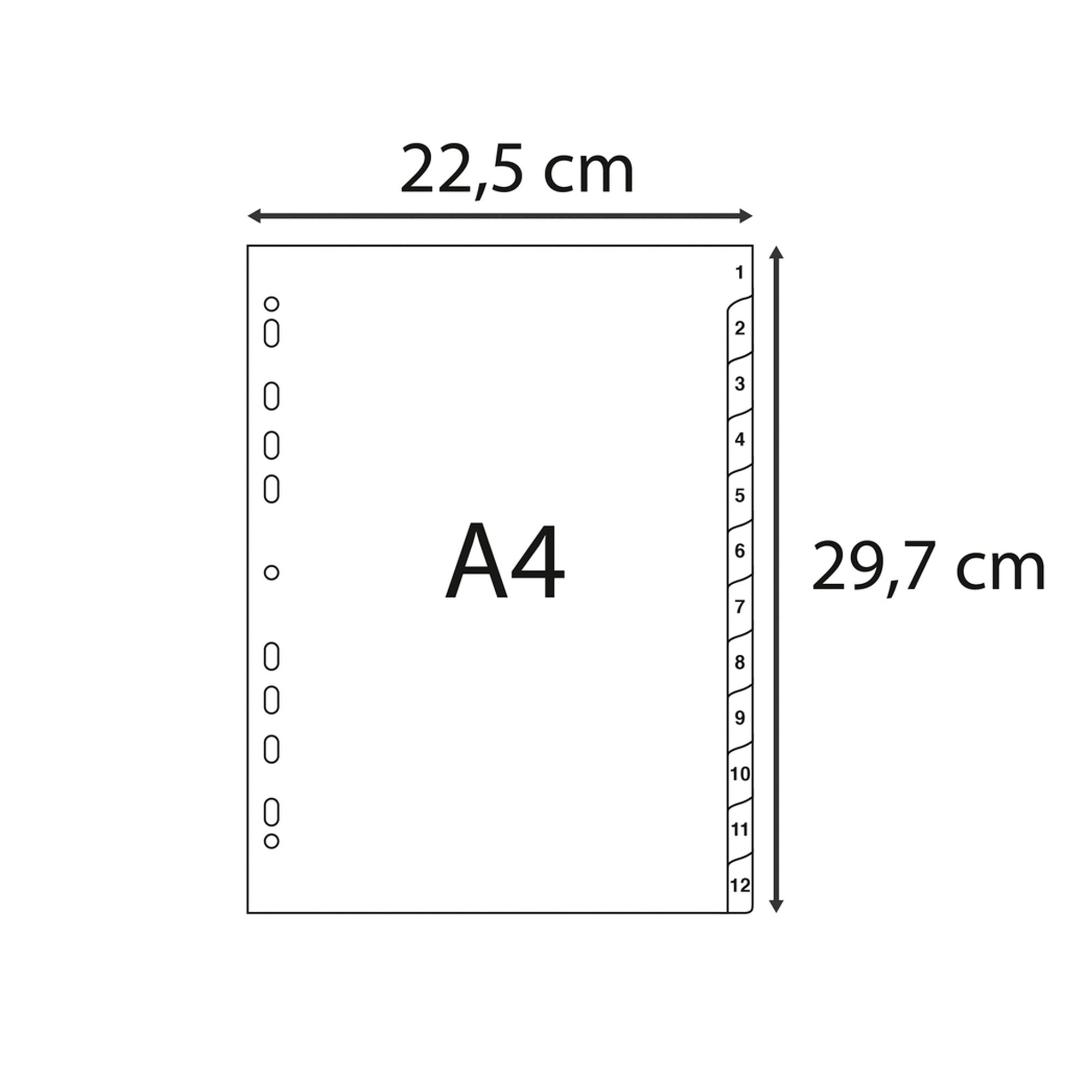 exacompta-intercalare-numerico-pp-riciclato-12-tasti-1-12-grigio-a4