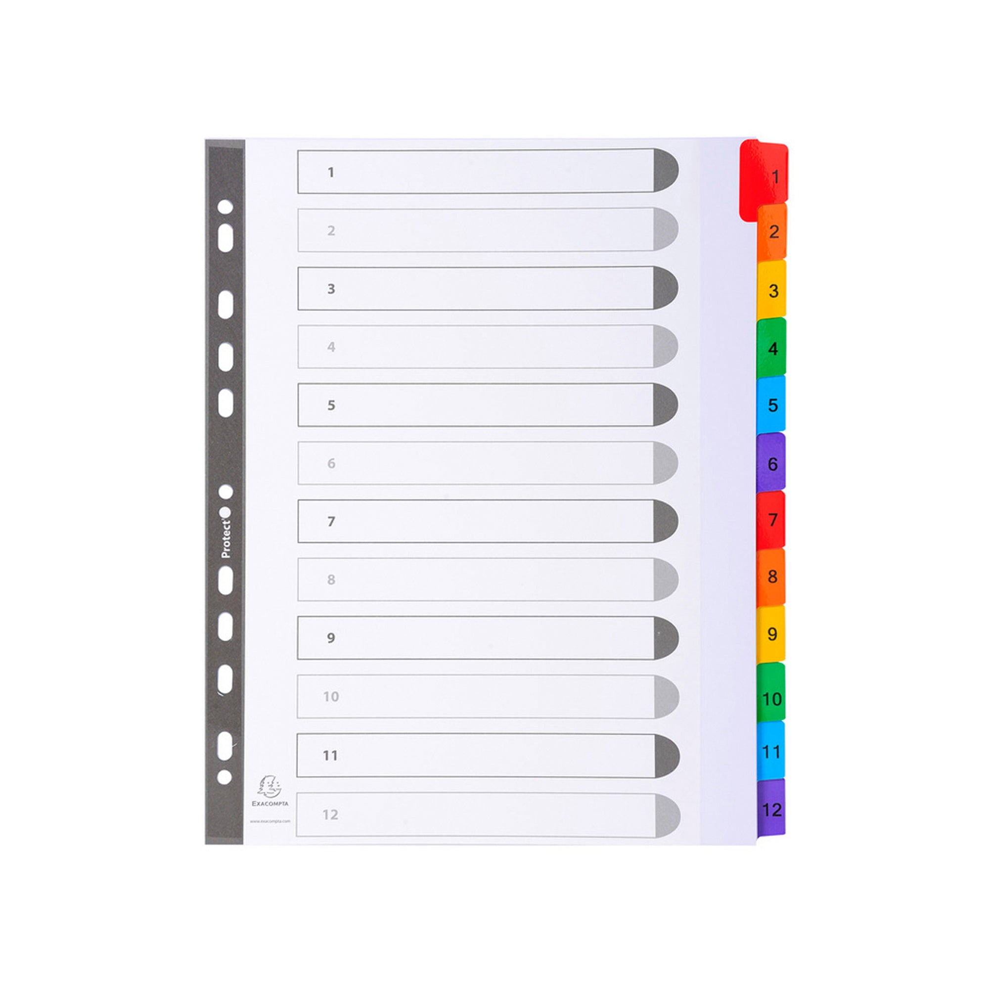 exacompta-separatore-numerico-1-12-a4-maxi-cartoncino-160gr
