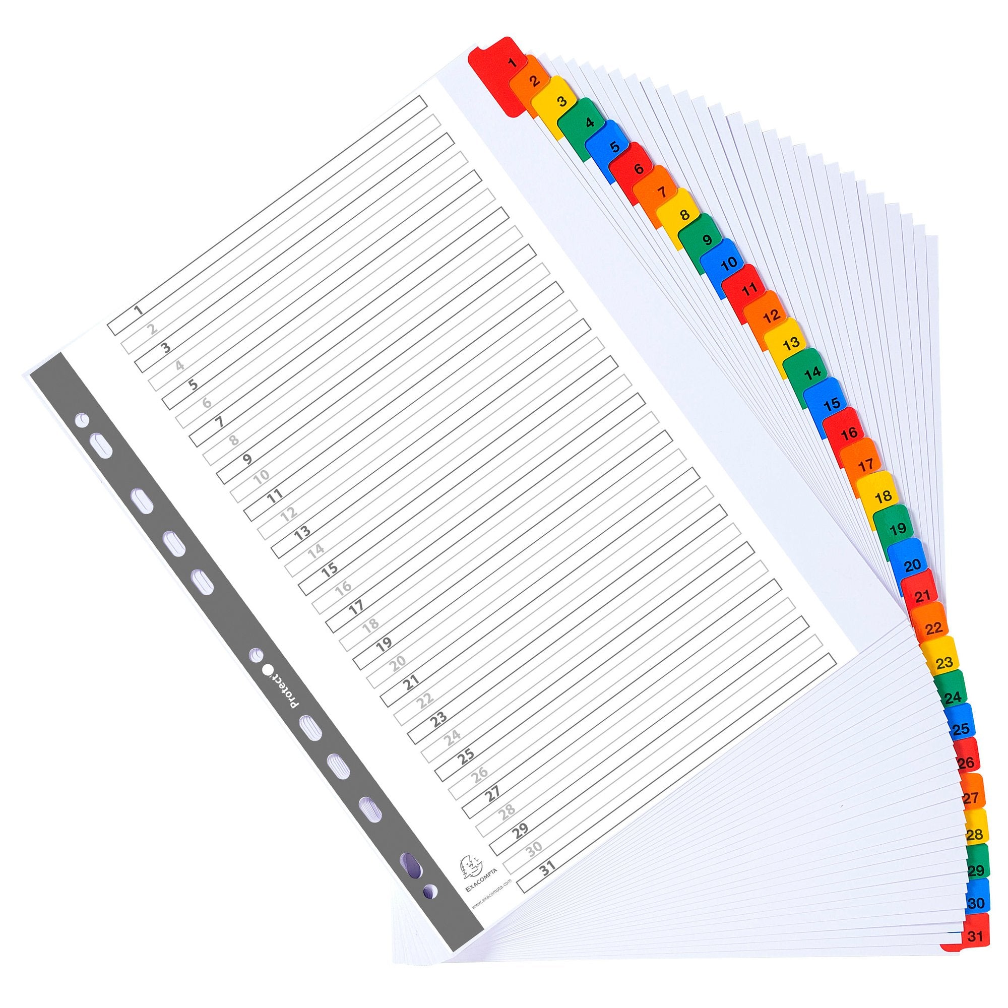 exacompta-separatore-numerico-1-31-a4-maxi-cartoncino-160gr