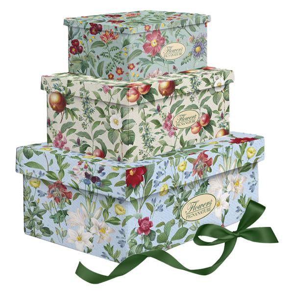 pigna-set-3-scatole-regalo-c-nastro-nature-flowers-fantasie-dim-assortite