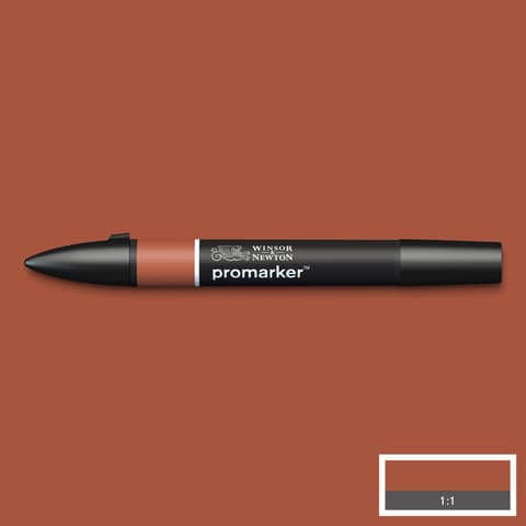 winsor-newton-pennarelli-doppia-punta-winsornewton-burnt-umber-0203076